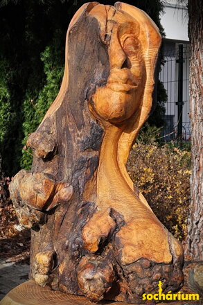 Face of Light and Shadow