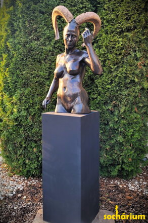 Mouflon woman