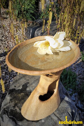 Drinking fountain for birds