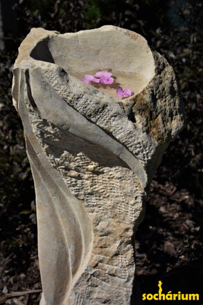 Birdbath & Feeder