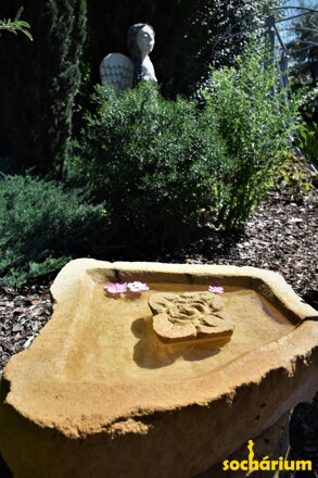 Birdbath with a Rose