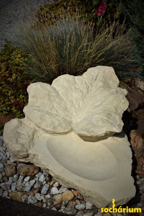 Drinking fountain with leaf