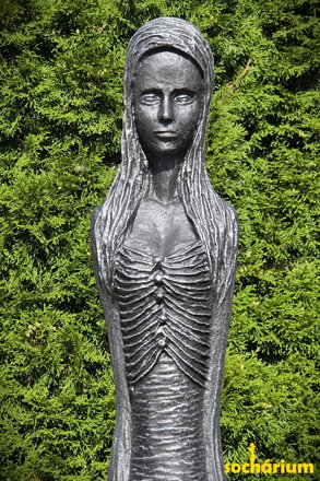 Companion
