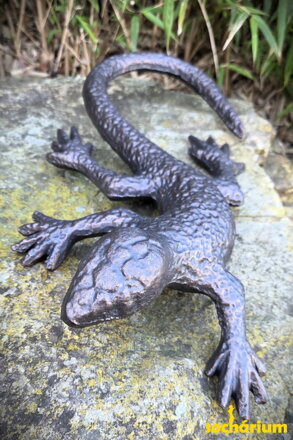 Lizard
