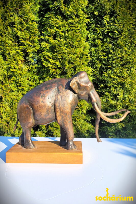 Columbian Mammoth