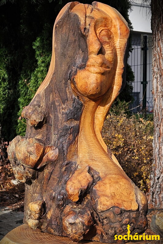 Face of Light and Shadow