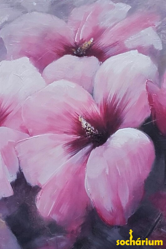 Hibiscus flowers - pink
