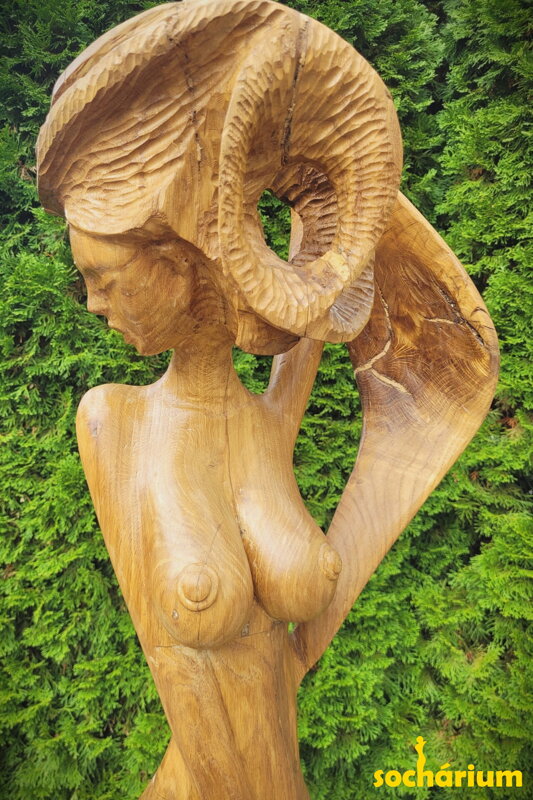 Oak