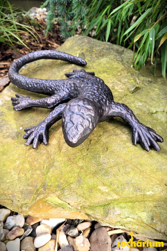 Lizard