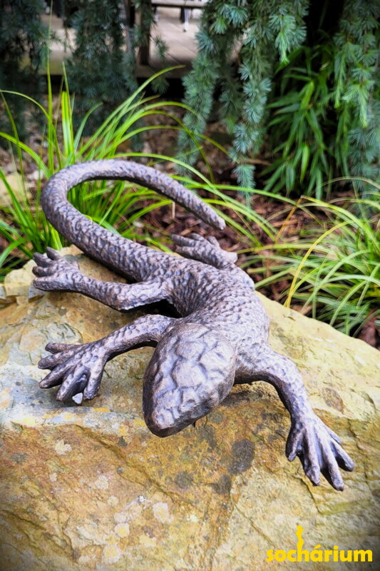 Lizard