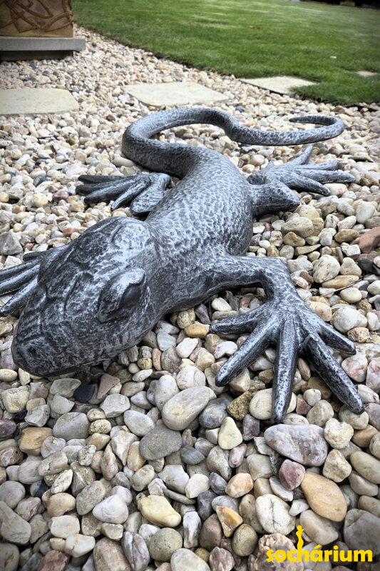 Lizard