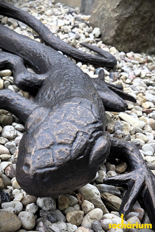 Lizard