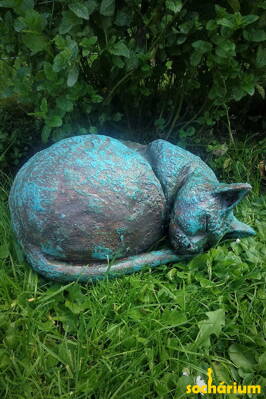 Cat's dream