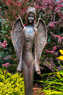 Bronze angel
