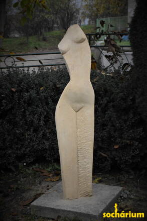 Torso of a woman