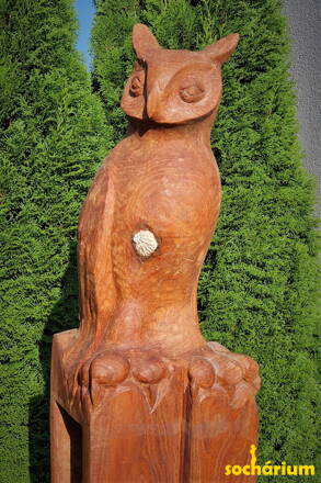 Wise owl