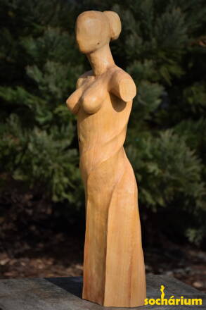 Lady