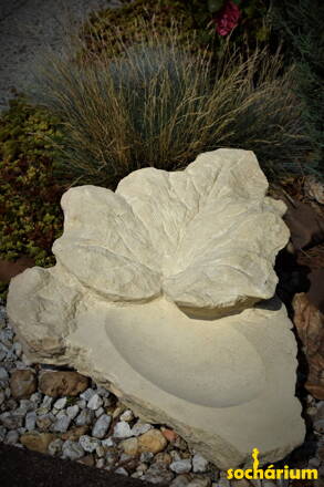 Drinking fountain with leaf